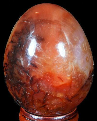 Colorful Carnelian Agate Egg #55543